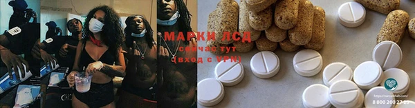 PSILOCYBIN Елизово