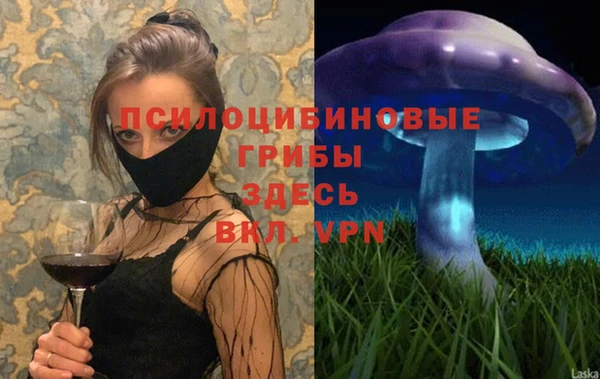 PSILOCYBIN Елизово