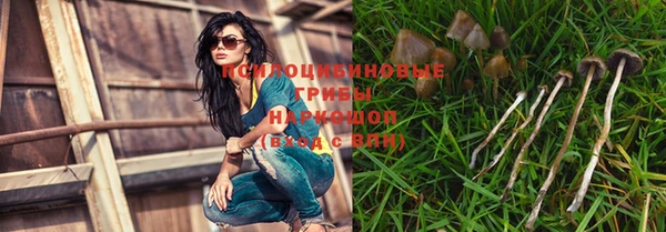 кристаллы Ельня