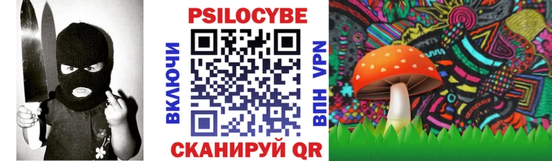 Купить закладки  Петров Вал  Псилоцибиновые грибы MAGIC MUSHROOMS 
